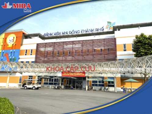 405480635 193626297146599 6852918847137687446 n