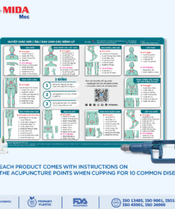 240527 Bo Giac Hoi 12 va 24 2000x2000 EN 3 1